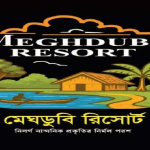 meghdubi-home-projects