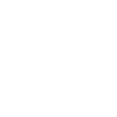 happy icon